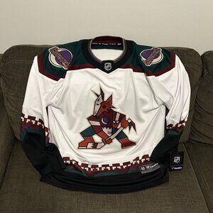Fanatics Authentic Arizona Coyotes Kachina Breakaway Hockey Jersey